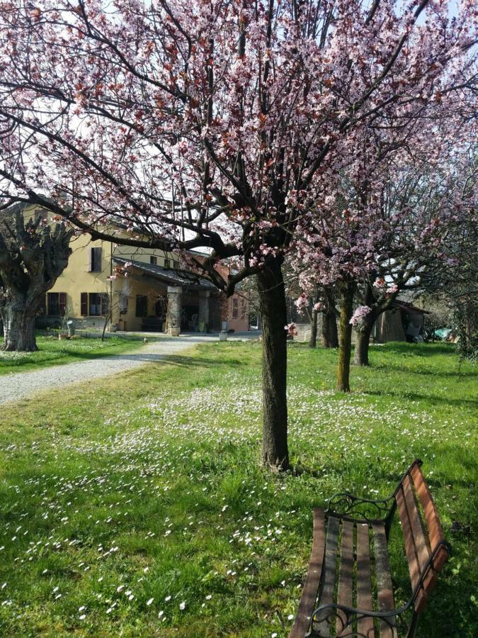 R&B Albero Cavo Parma住宿加早餐旅馆 外观 照片