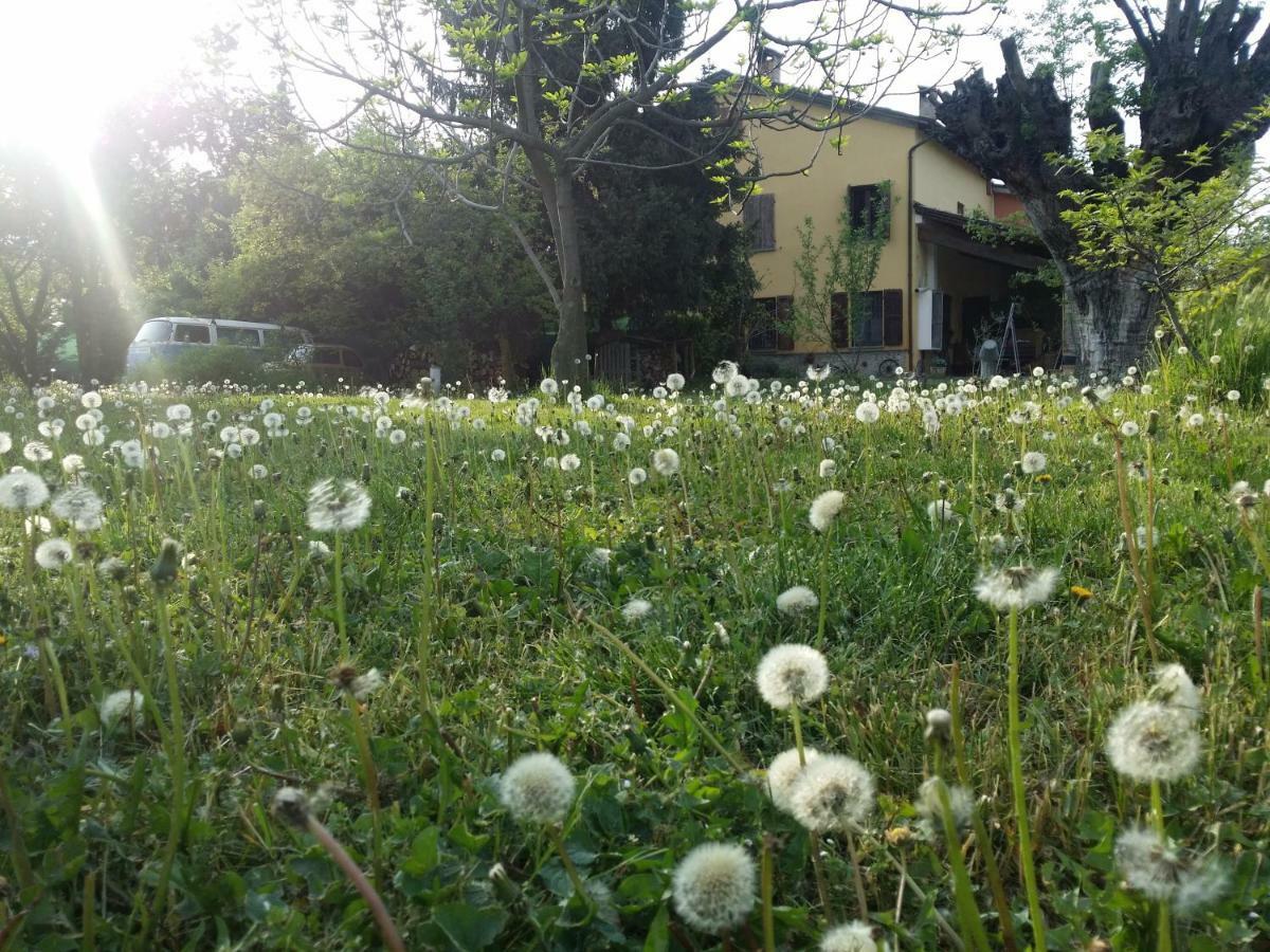 R&B Albero Cavo Parma住宿加早餐旅馆 外观 照片