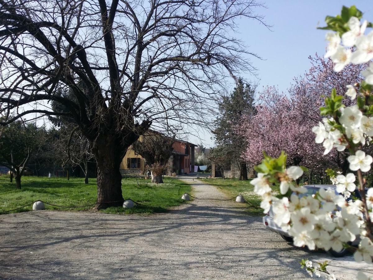 R&B Albero Cavo Parma住宿加早餐旅馆 外观 照片